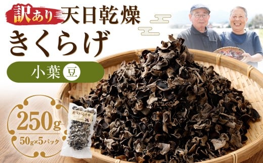 【訳あり】 天日乾燥きくらげ 「小葉（豆）」 50g×5パック 合計250g
