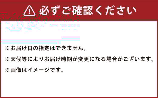 サラたまちゃん 10kg