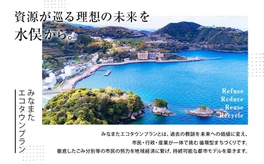 みなまたエコタウンペーパー 60個入 60ロール トイレットペーパー