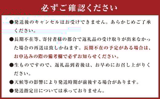 葉付き！サラダ玉ねぎ