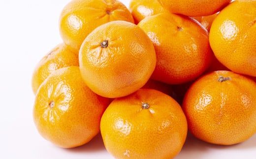 温州みかん 約3kg 2S～2Lサイズ