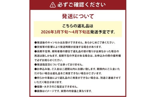 1年に1度だけ!甘くて柔らかい!早採りサラダ玉ねぎ 約5kg 優品 サイズ混合