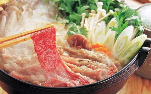 くまもと あか牛 （GI） すき焼き用 約500g 牛肉 熊本 お肉 肉 すきやき しゃぶしゃぶ