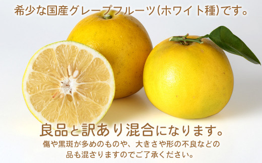 環境マイスターのグレープフルーツ 良品・訳あり混合 20kg