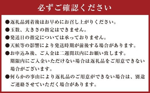 【訳あり】 ご家庭用 濃厚不知火 10～20玉 （ 約4kg ） デコポン みかん 柑橘 果物 フルーツ 熊本 【2026年2月下旬～3月上旬迄発送予定】