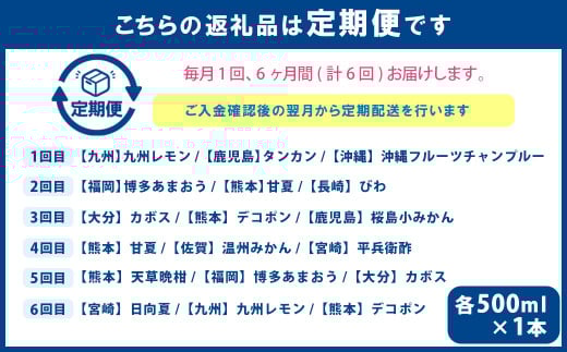 【6ヶ月定期便】 九州を飲む！毎月届く 九州果実シロップ 飲み比べセット 500ml×3本×6回 果物 フルーツ ジュース