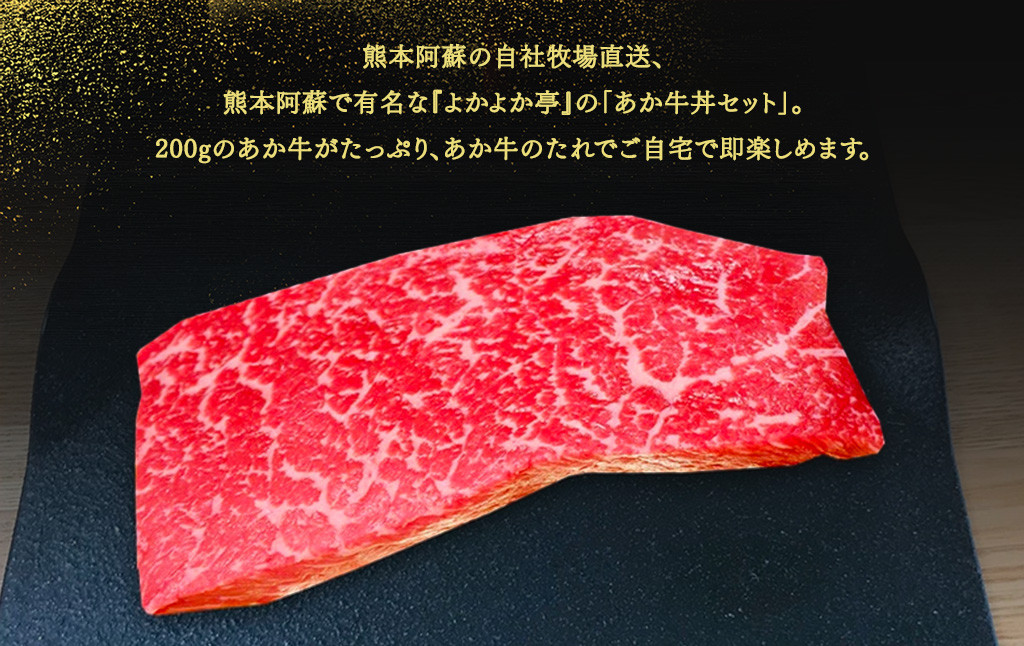 あか牛丼 2人前セット あか牛モモ 200g あか牛のたれ 200ml付き