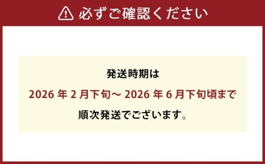 農家の休憩デコ 訳あり（C品 7kg）