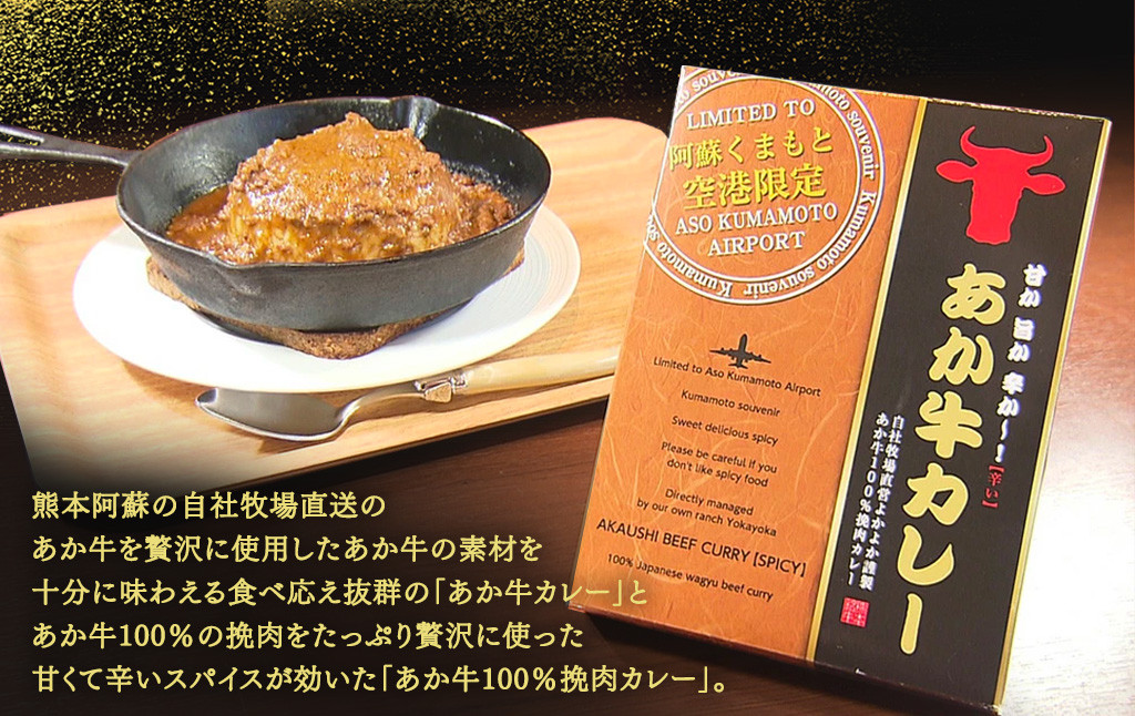 あか牛 カレー詰め合わせセット 合計4袋 あか牛カレー 180g×2袋 あか牛100％挽肉カレー 220g×2袋