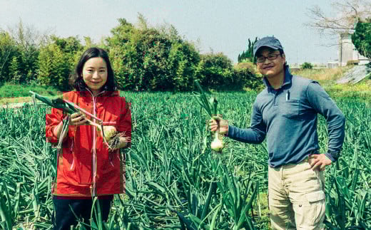 葉付き！サラダ玉ねぎ