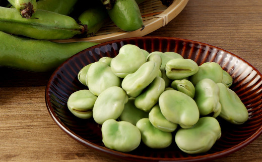 熊本県産 そらまめ 約4kg（2粒） 野菜 豆類 そら豆 【2026年4月上旬-4月下旬迄発送予定】