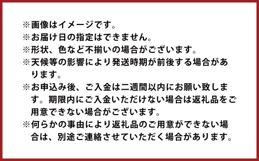 甘夏みかん 8kg みかん オレンジ 柑橘【2026年2月下旬～4月下旬発送】