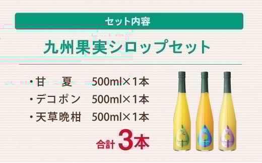 九州 果実 シロップ セット 500ml×3本 甘夏 デコポン 天草晩柑