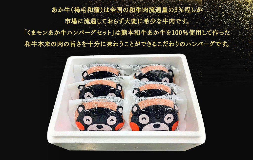 くまモン あか牛 ハンバーグセット 120g×6個 あか牛のたれ 200ml付き