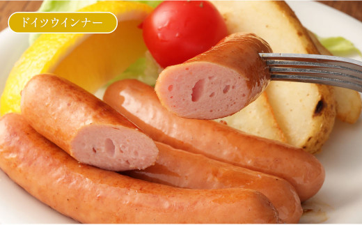 熊本県産ドイツ製法 自家製 ソーセージ 4種& ロースハム の詰合せ