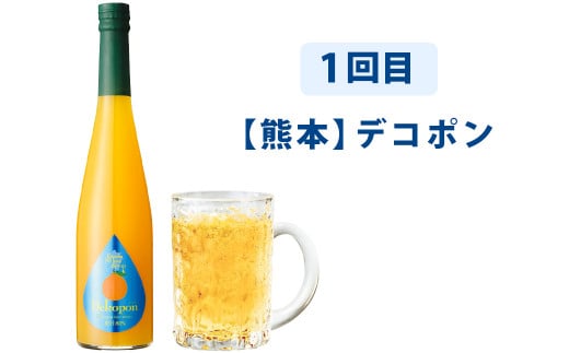 【3ヶ月定期便】 九州を飲む！毎月届く 九州果実シロップ 500ml×1本×3回 果物 フルーツ ジュース デコポン あまおう 日向夏