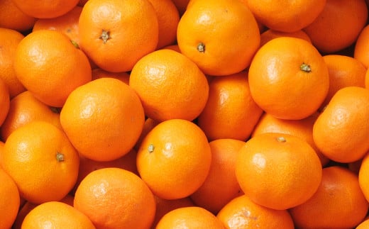 温州みかん 約3kg 2S～2Lサイズ