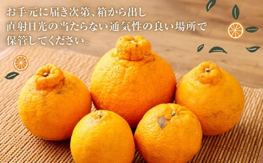 【訳あり】 ご家庭用 濃厚不知火 10～20玉 （ 約4kg ） デコポン みかん 柑橘 果物 フルーツ 熊本 【2026年2月下旬～3月上旬迄発送予定】