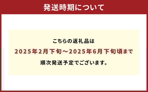 パクパクデコ 10kg バラ詰め 訳あり（B品）