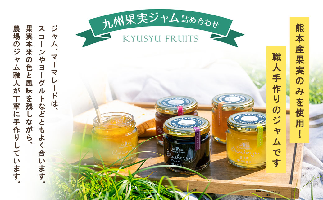 九州果実ジャム 詰め合わせ 6個セット