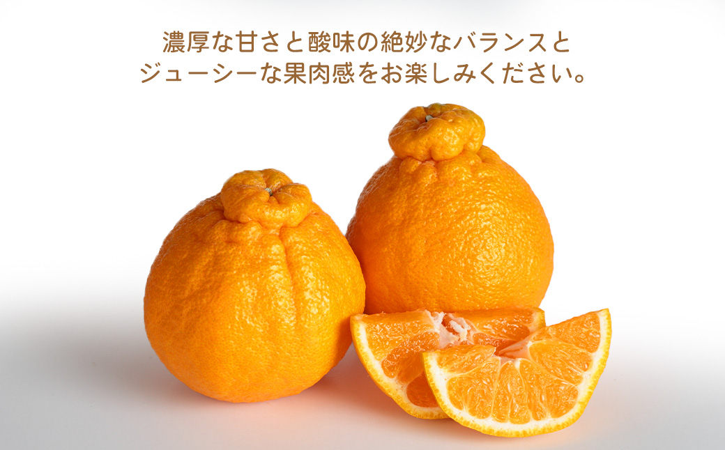 環境マイスターの不知火 良品 5kg