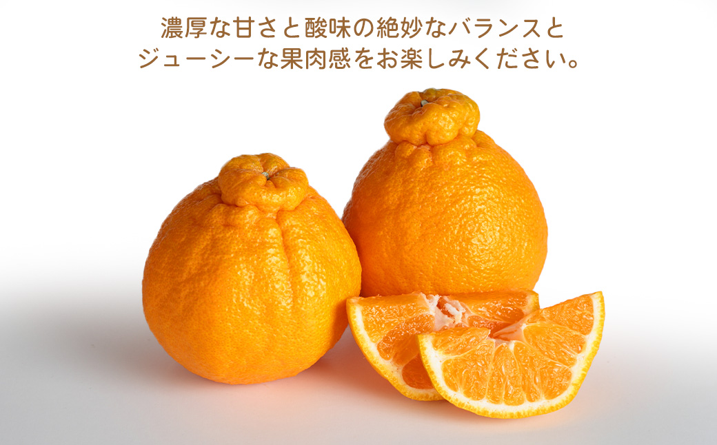 環境マイスターの不知火 良品 10kg