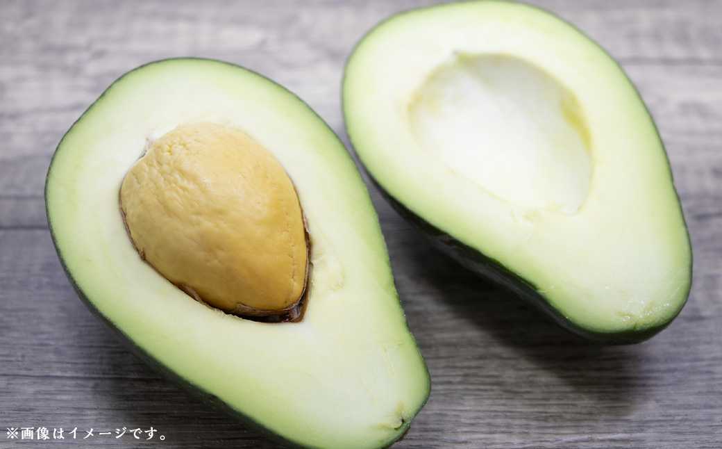 【数量限定】アボカド 苗木 Bタイプ (台木/接ぎ木：ベーコン種) 1本 5号～6号 鉢下から約30cm【2025年5月下旬より順次発送開始】