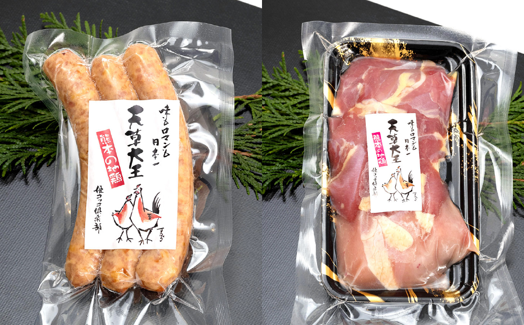 【アウトドアセット】 天草大王 幻の鶏 キャンプ BBQ 骨付きもも肉 (500g) 大手羽先 ソーセージ ブツ切りミックス 計約 1.1kg
