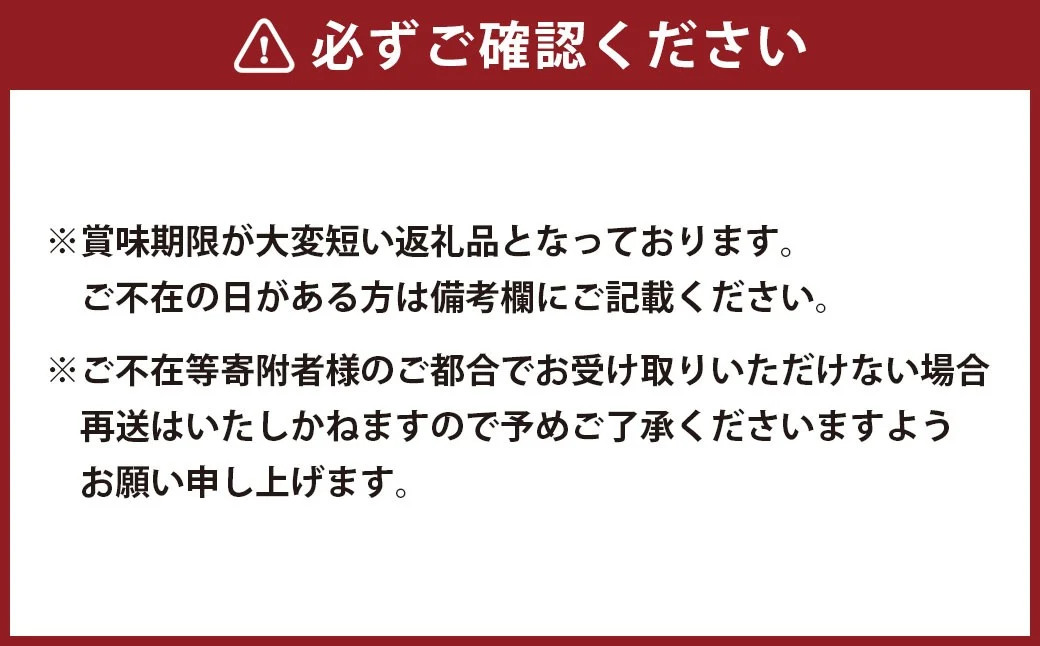 温州みかん 約10kg 2S～2Lサイズ