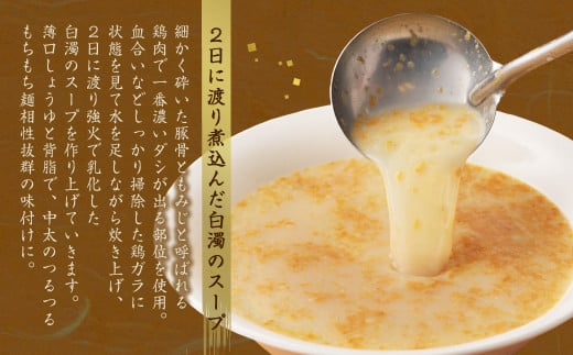 みなまた ちゃんぽん 3～4人前 生麺 野菜つき 具材セット 調理 水俣