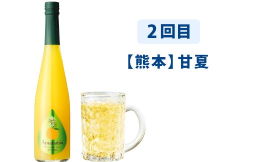 【6ヶ月定期便】 九州を飲む！毎月届く 九州果実シロップ 500ml×1本×6回 6種 果物 フルーツ ジュース