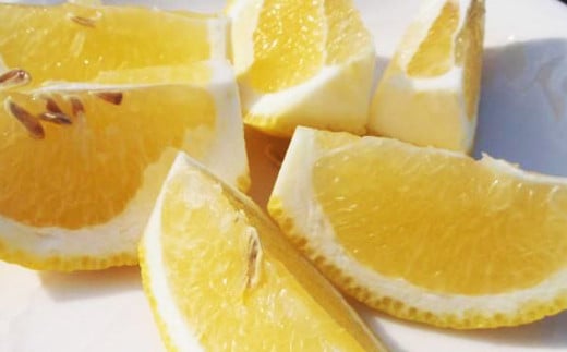 はるかみかん 約 4kg （サイズ混合・無選果・ご自宅用)