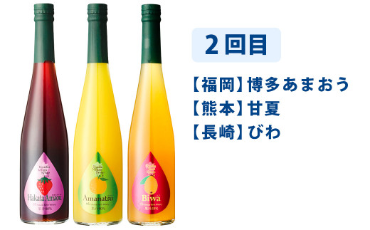 【6ヶ月定期便】 九州を飲む！毎月届く 九州果実シロップ 飲み比べセット 500ml×3本×6回 果物 フルーツ ジュース