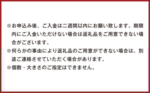 パクパクデコ 約3.5kg 訳あり 大玉 【2025年2月下旬～6月下旬発送】