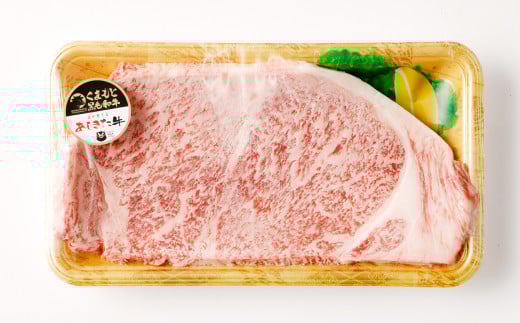 黒毛和牛 あしきた牛 サーロインステーキ 合計200g 和牛 肉