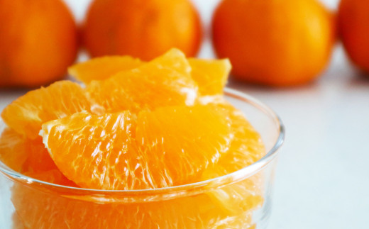 不知火（デコポン同品種）約2kg