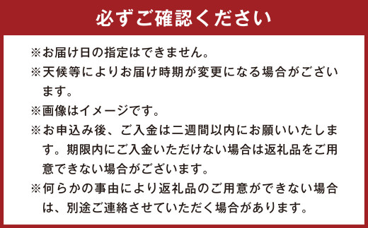 熊本県産 そらまめ 【約4kg 3粒以上 80本前後】