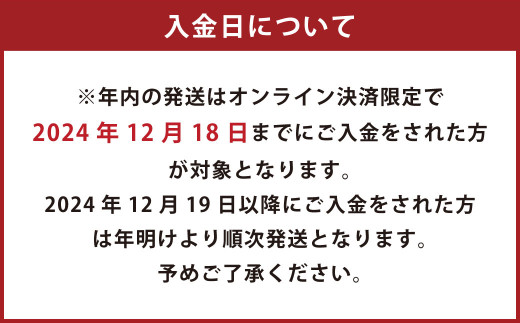 九州まるごとしぼりデコポン 10本(各180ml) セット 果汁100％