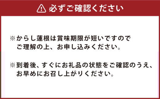 ふるさとセット からし蓮根×2本 肥後天×3個 燻製蒲鉾×4本