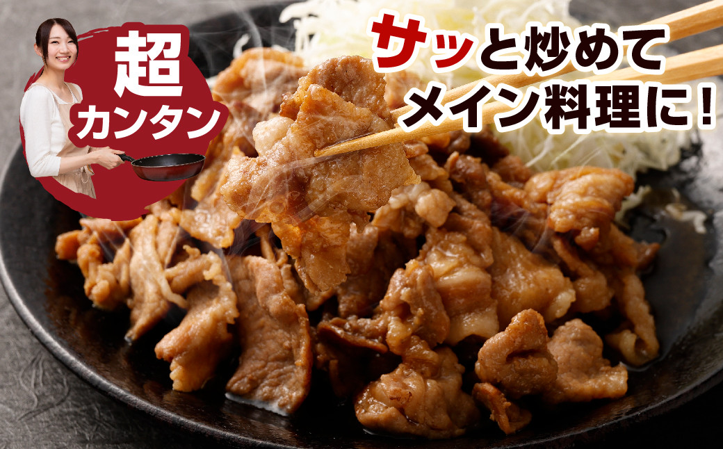 【6ヶ月定期便】 九州産豚 タレ漬け 合計3kg 500g×6袋×6回