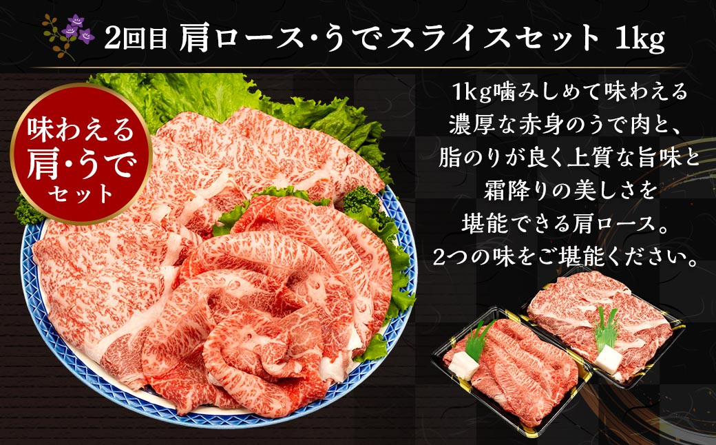 【6ヶ月定期便】 熊本県産 A5等級 黒毛和牛 和王 食べ比べ 合計約4kg 牛肉 セット