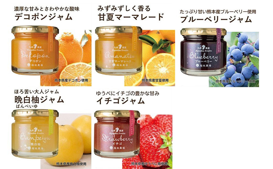九州果実ジャム 詰め合わせ 6個セット