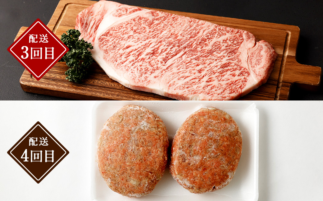 みなまたを満喫！お肉6ヶ月定期便 総量約6.6kg 豚肉 牛肉 鶏肉 こま切れ タレ漬け ステーキ ハンバーグ 腸 詰め合わせ 黒毛和牛 スライス 肉 セット おかず 冷凍 定期便 6回