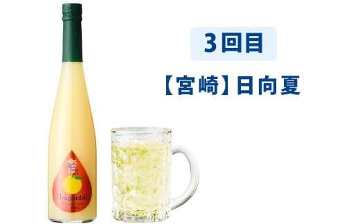 【3ヶ月定期便】 九州を飲む！毎月届く 九州果実シロップ 500ml×1本×3回 果物 フルーツ ジュース デコポン あまおう 日向夏