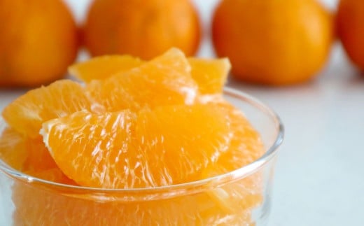 不知火（デコポン同品種）