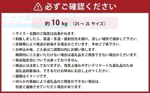 温州みかん 約10kg 2S～2Lサイズ