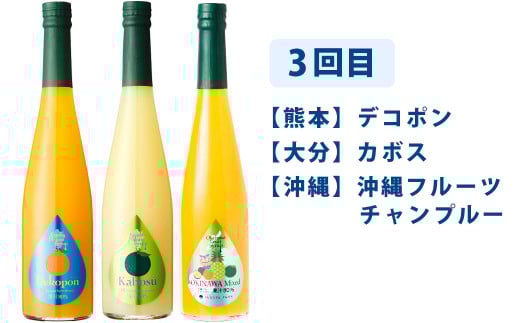 【3ヶ月定期便】 九州を飲む！毎月届く 九州果実シロップ 飲み比べセット 500ml×3本×3回 果物 フルーツ ジュース