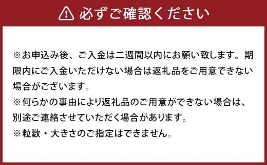 パクパクデコ 10kg バラ詰め 訳あり（B品）