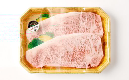 【6ヶ月定期便】 黒毛和牛 あしきた牛 サーロインステーキ 400g (200g×2) 計約2.4kg 牛肉 和牛