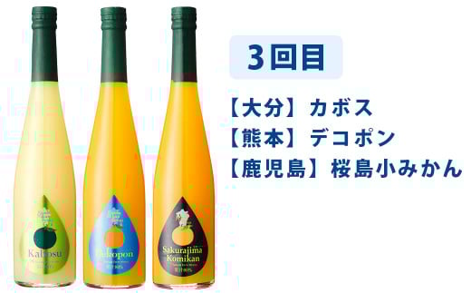 【6ヶ月定期便】 九州を飲む！毎月届く 九州果実シロップ 飲み比べセット 500ml×3本×6回 果物 フルーツ ジュース